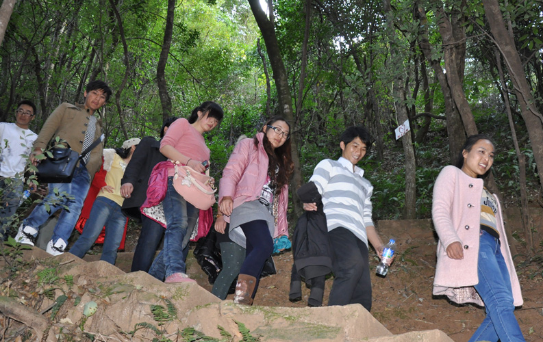 青龙峡位于昆明西郊安宁市青龙镇滇中生态大峡谷中，景区有保存较为完好的植物群落，遮天蔽日的参天古木；有浪漫山花，野果飘香，还有清秀宁静的田园风光。河谷沿岸古柳成荫，几十里的云南樱花大道成为昆明郊游靓丽的风景线。景区中溪水潺潺，千姿百态、千奇百怪的蔓藤风光随处可见，号称“都市身旁的小九寨。